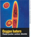 Oxygen haters
