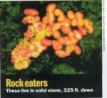 Rock eaters