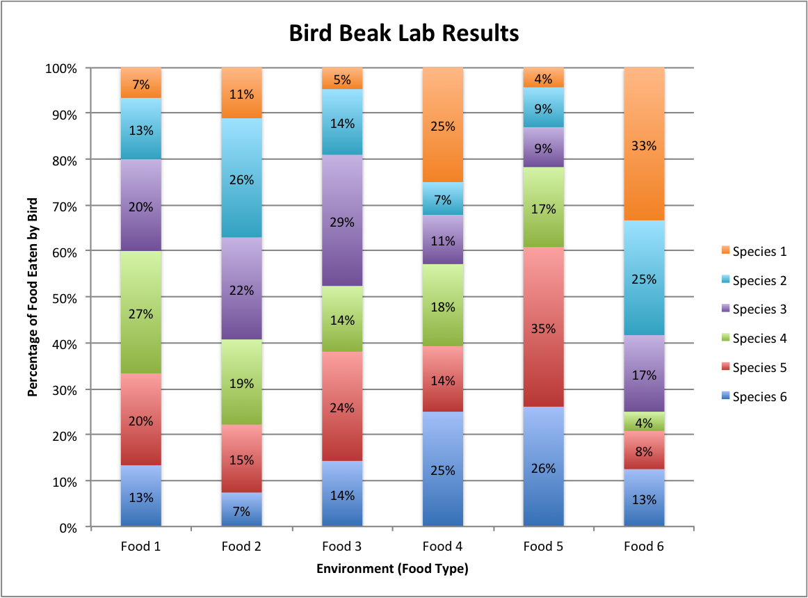Bird Beaks: Competition and Natural Selection