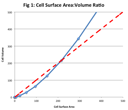 Cell Culture Surface Area Chart