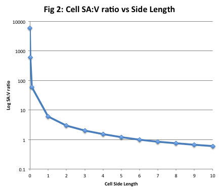 Surface Area to Volume Ratio vs Side Length