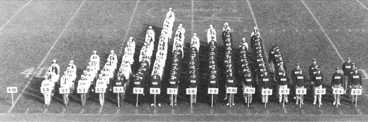 Height distribution in humans