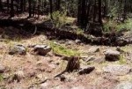 Little Leroux Spring boxed in the ponderosa pine forest