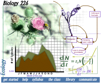 Image Map: click below