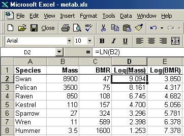 Basal Metabolic Rate Chart