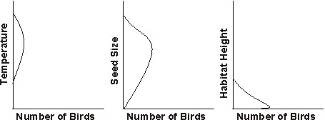 individual niche dimensions