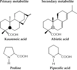 Chemical compounds in plants