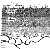 soil profile:http://www.ext.colostate.edu/pubs/garden/07722.html