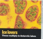 Ice lovers