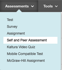 self and peer assessment