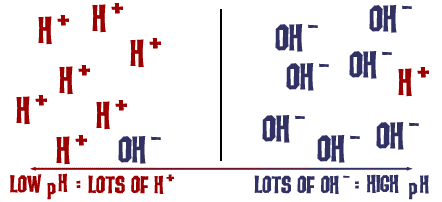 Acid and Base, Acids, Bases & pH