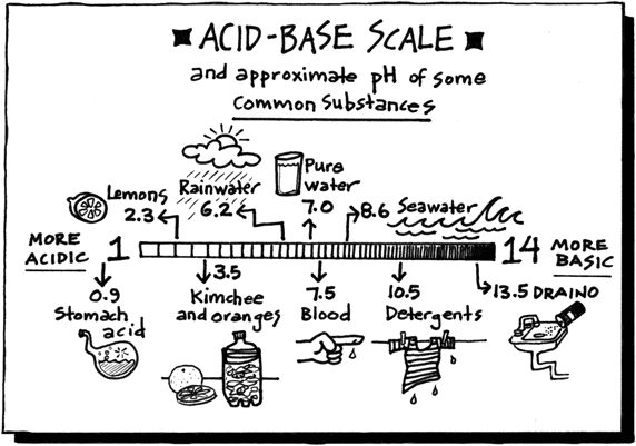 The Acid-Base scale