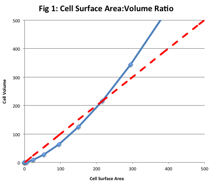 Cell Size, Surface Area and Volume