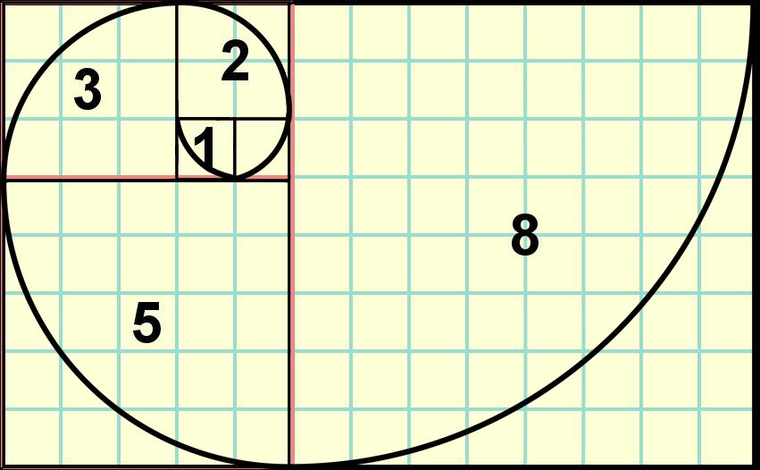 fibonacci sequence in nature free clipart