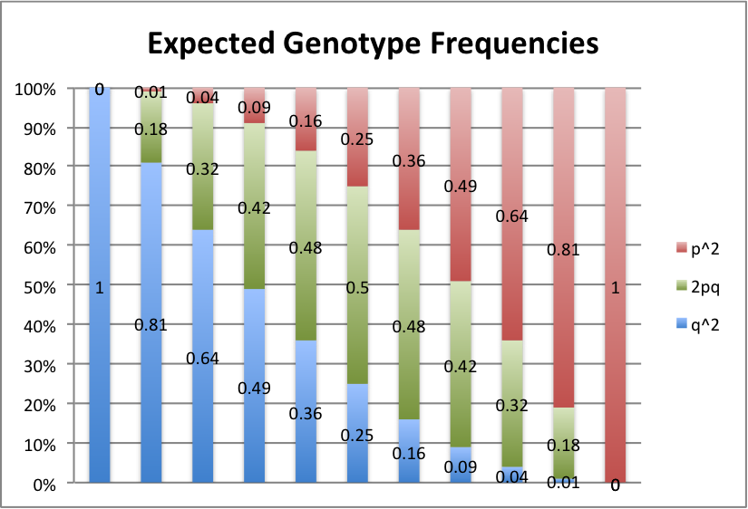 expected genotype frequencies