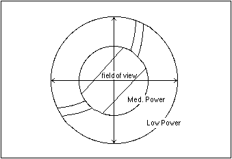 Field of view decreases at higher magnifications