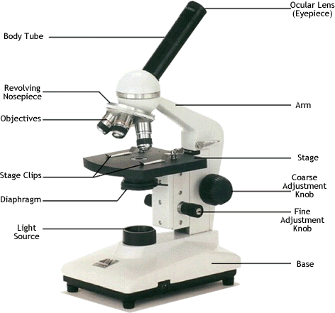 Parts of the compound microscope