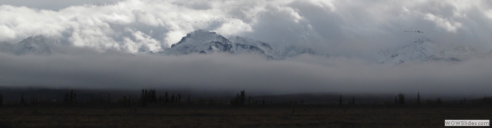 foggy mountains in Healy
