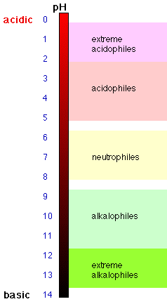 Microbial hydrogen consumption leads to a significant pH increase