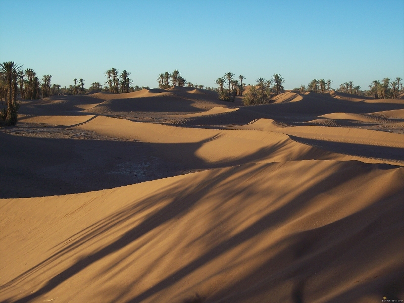 Sahara Desert:http://www.livescience.com/history/060720_sahara_rains.html