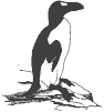 Auk logo:http://www.aou.org/auk/index.php3