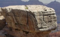 kaibab limestone on the South Rim of the Grand Canyon:http://3dparks.wr.usgs.gov/grandcanyon/html2/gc1804.htm