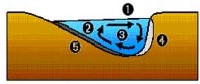 helical flows:http://www.oxbowriver.com/Web_Pages/Stream_Ecology_Pages/Ecology_Aquatic/Ecology_Helical.html