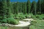 Point bars and meanders in Elk Creek, Stanley Basin, Idaho:http://www.gly.uga.edu/railsback/FieldImages.html