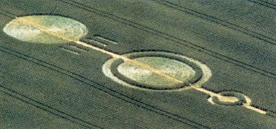 alien face crop circle